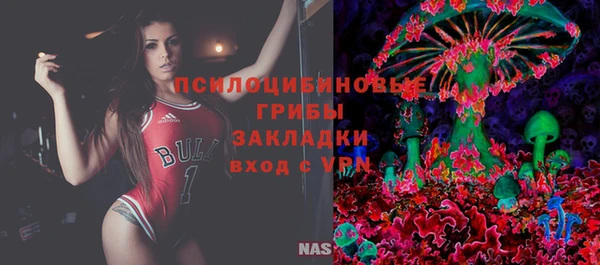 ГАЛЛЮЦИНОГЕННЫЕ ГРИБЫ Алзамай
