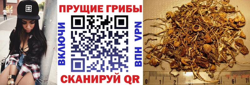 Псилоцибиновые грибы Psilocybine cubensis  купить наркоту  Мамадыш 